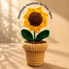 Personalised Birthday Theme Magnet Frame with Handmade Sunflower Pot