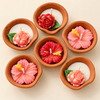 Set-of-6-diya-2
