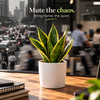 8d380628-df2f-41b4-8f61-cc0a4f80d4ab