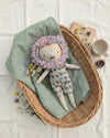 Ambarthelionsofttoyinapicnicbasket_1 (1)