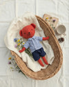 Golu_in_a_picnic_basket