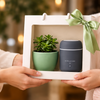 01_gift_presentation