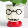 Resin Pot Money Plant Duo