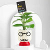 Resin Pot Money Plant Duo
