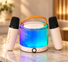 Karaoke speaker