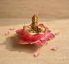 WhatsApp Image 2026-09-27 at 10.25.33 PM