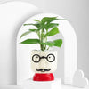 Resin Pot Money Plant Duo